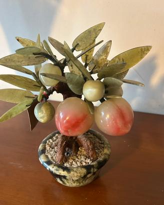 Albero giada