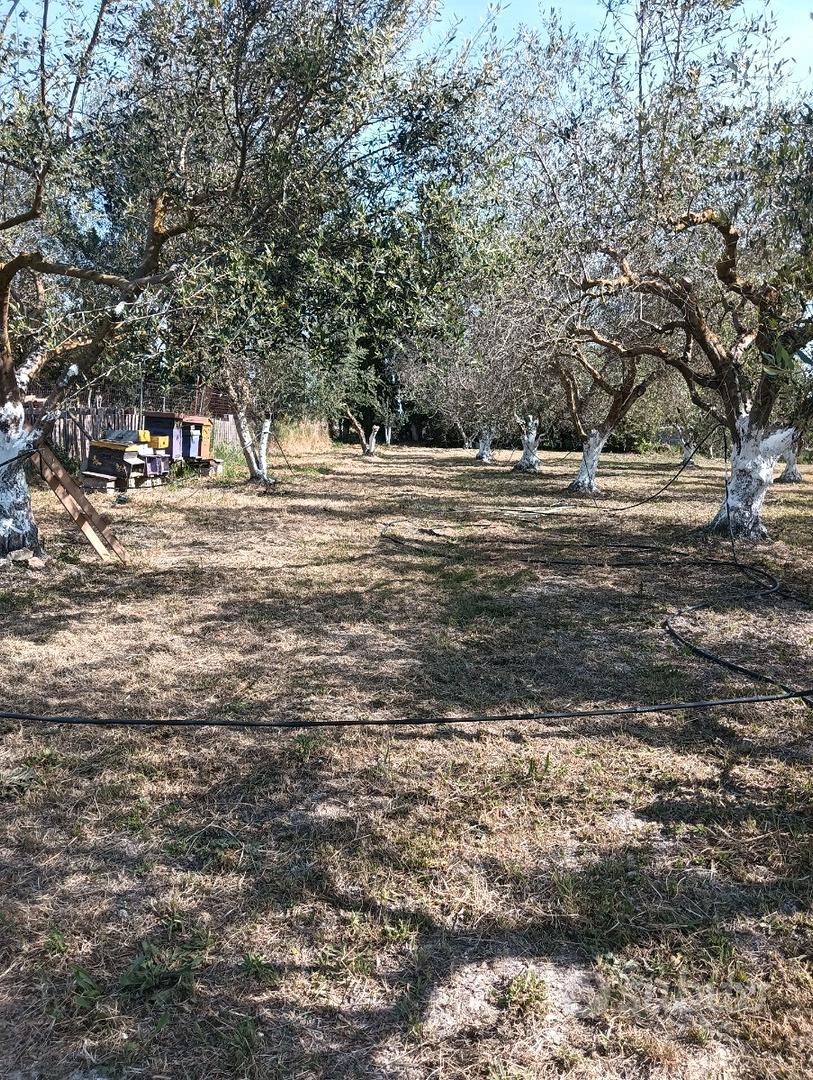 Appezzamento di terreno non edificabile - Vista 4