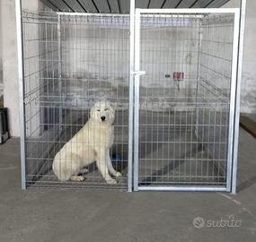 Rete e pali - tettoie - reti - box cani - box auto