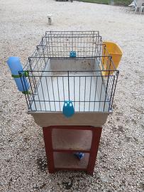 gabbia coniglio nano cavia
