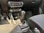 Immagine 16