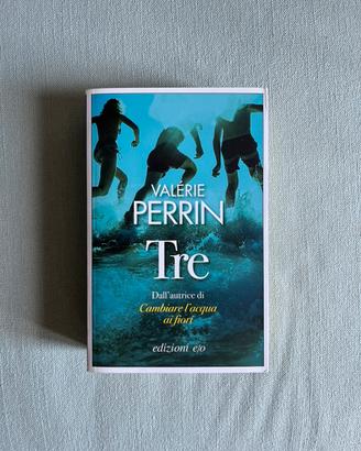 Libro Valerie Perrin - Tre
