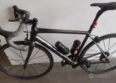 focus izalco