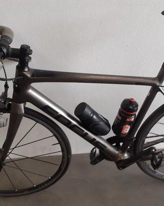 focus izalco