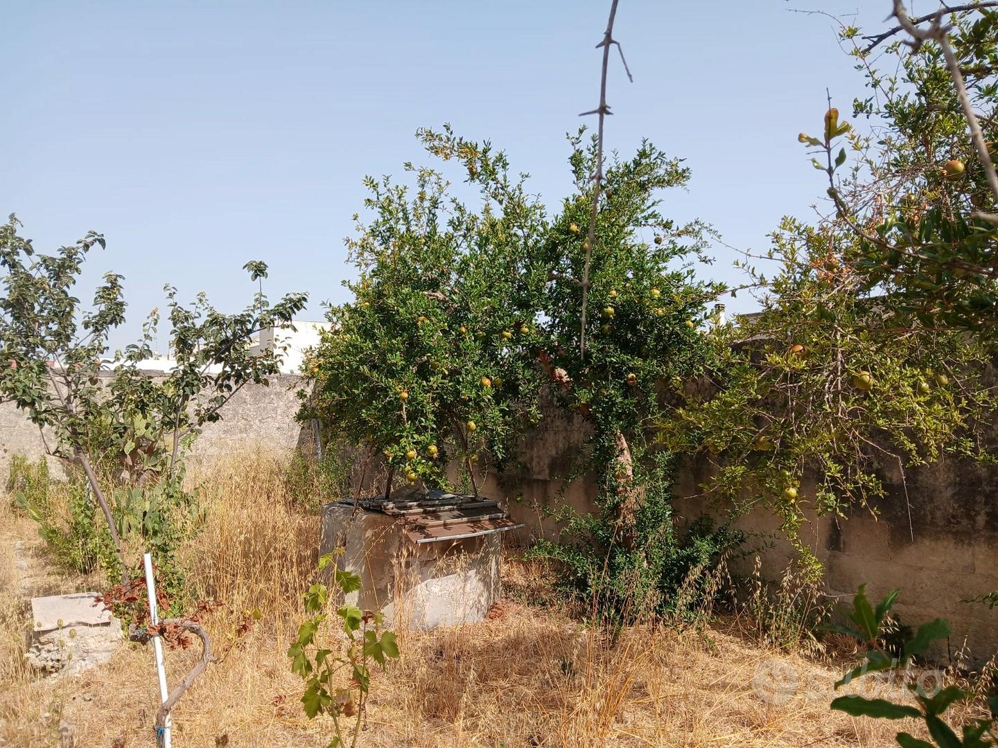 Terreno 500 mq Edificabile - Altro