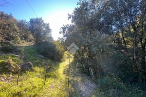 TER. AGRICOLO A TORRI IN SABINA