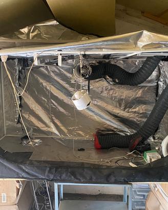 kit grow box 90x90x200 rqs