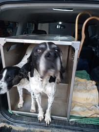 gabbia cani alluminio per suzuki jimny