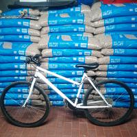 Mountain Bike bianca 