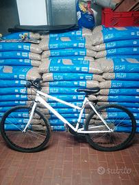 Mountain Bike bianca 
