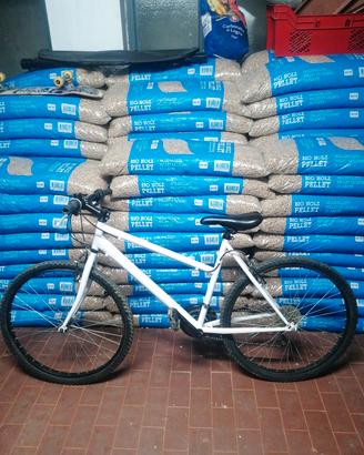 Mountain Bike bianca 