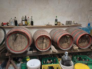 Botti in rovere