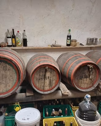 Botti in rovere