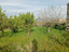Immagine 6