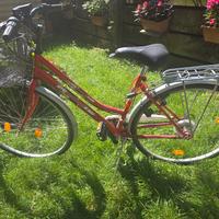 Mountain Bike Donna Axxis