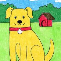 Jack Russell femmina di 5 anni