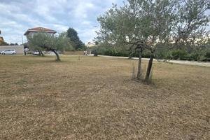 COLLECORVINO TERRENO EDIFICABILE