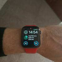 Apple Watch Series 6 da 44mm