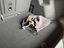 Immagine 14