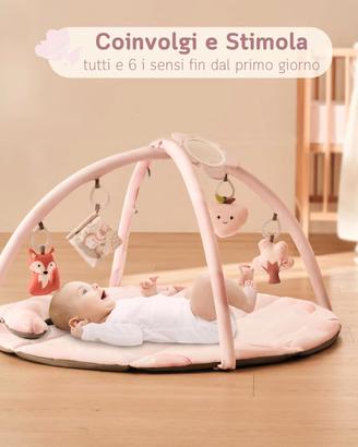 Palestrina Neonato Fortella