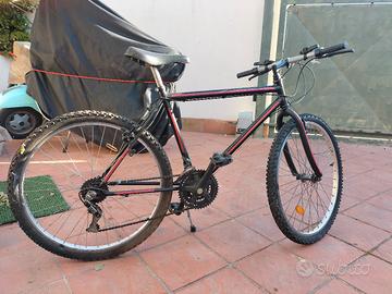 bicicletta Mountain bike