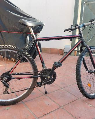 bicicletta Mountain bike