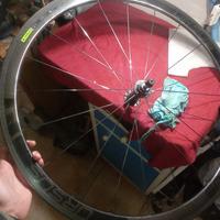 Ruote bici carbonio Ursus 40