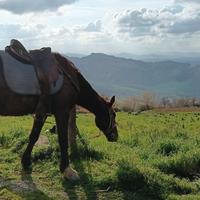 Abitazione per due persone
