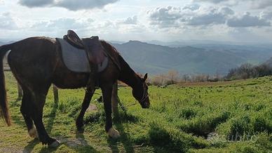 Abitazione per due persone