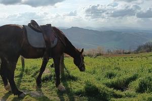 Abitazione per due persone