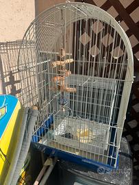 Gabbia uccelli