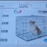 Gabbia box trasportino richiudibile per animali