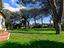 Immagine 29