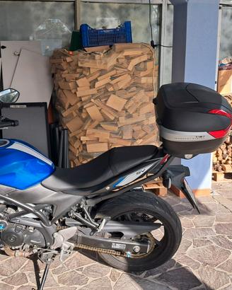 Bauletto Givi V47