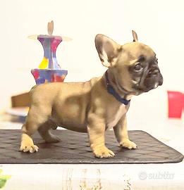 Bulldog francese maschio rimborso spese