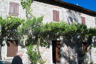 Casa Casale in sasso