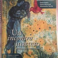 UN INCONTRO INATTESO