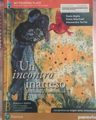 UN INCONTRO INATTESO