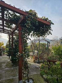 Casa singola