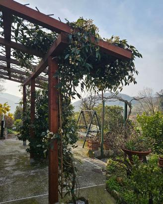 Casa singola