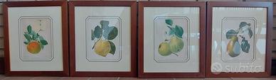 Quadri frutta