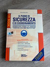 Il piano di sicurezza e coordinamento