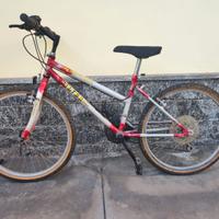 Mountain Bike Silver Star 24