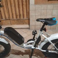 Bicicletta elettrica fatbike