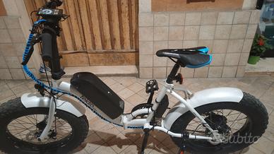 Bicicletta elettrica fatbike