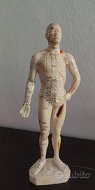 Modellino in gomma per agopuntura in confezione or