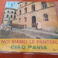 primo 45g morandi noi siamo le pantere