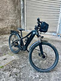 Bici elettrica