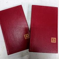 Coppia di libri finemente rilegati finiture oro