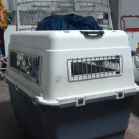 Trasportino e rimorchio bici per cani taglia media